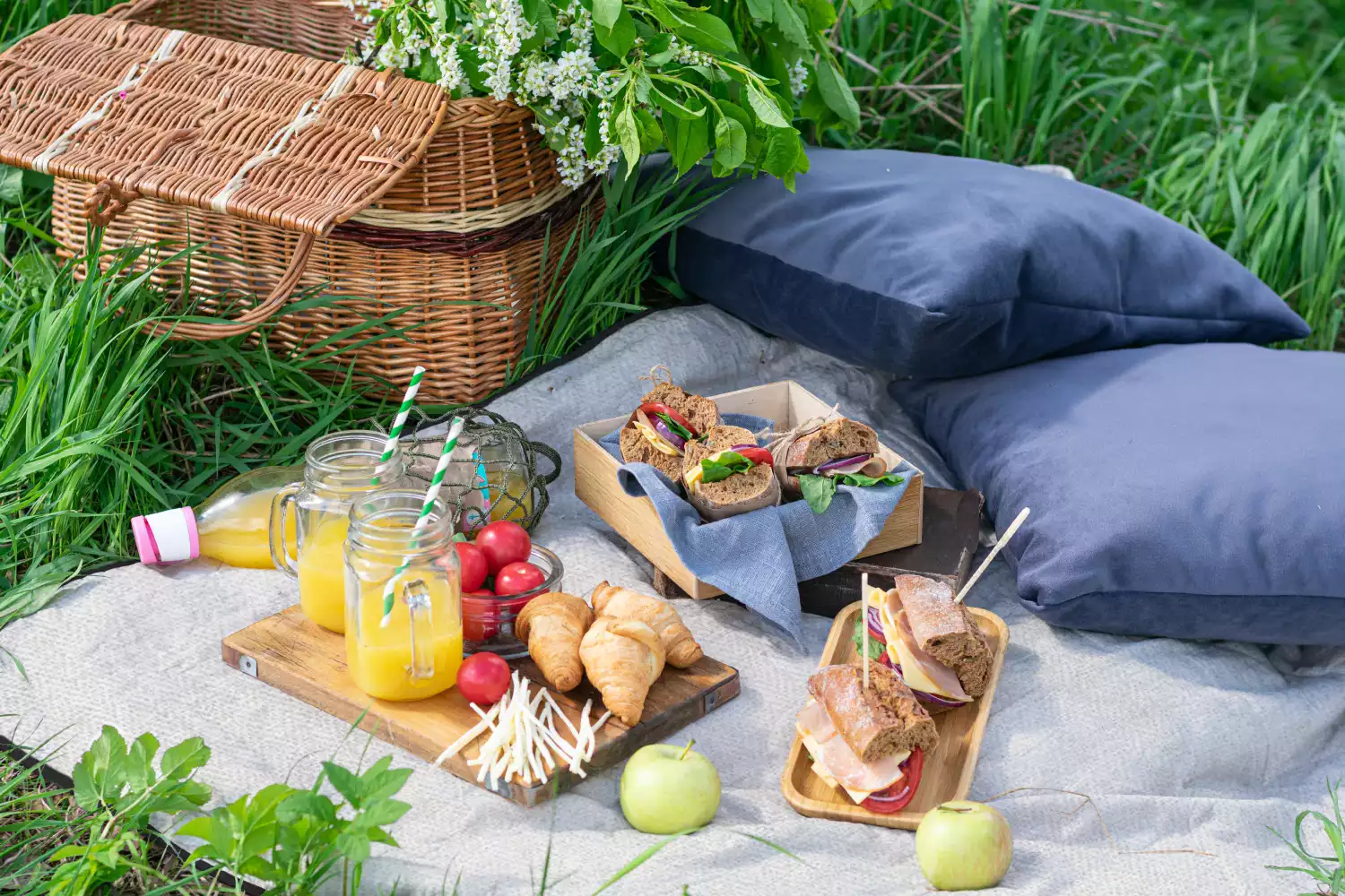 branded picnic blanket