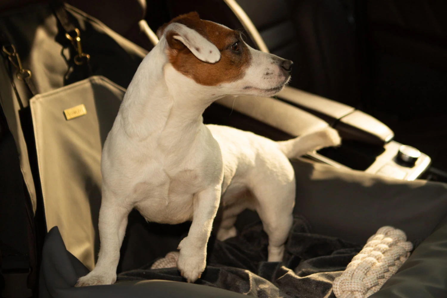 Mercedes-Benz C-Class Dog Car Seat for Rat Terriers