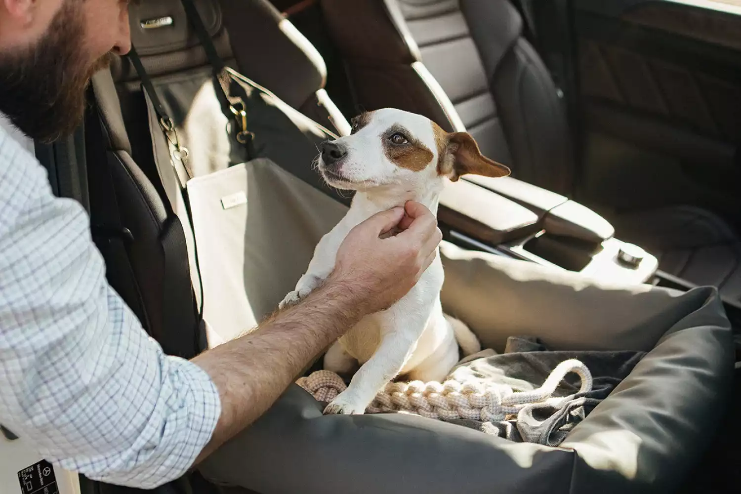 Welsh Springer Spaniels Dog Car Seat for Hyundai Sonata