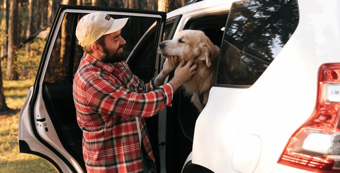 Tesla Model Y Dog Car Seat Belt for Chesapeake Bay Retrievers