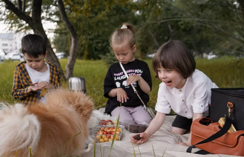 good picnic blanket