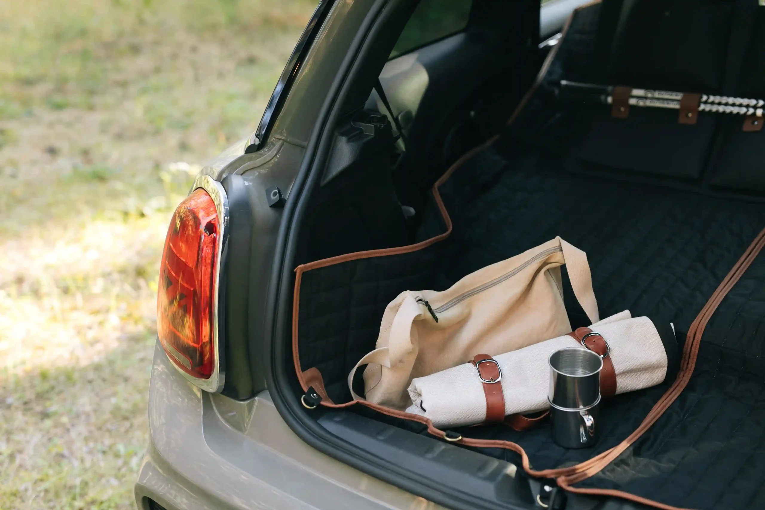 water repellent picnic blanket