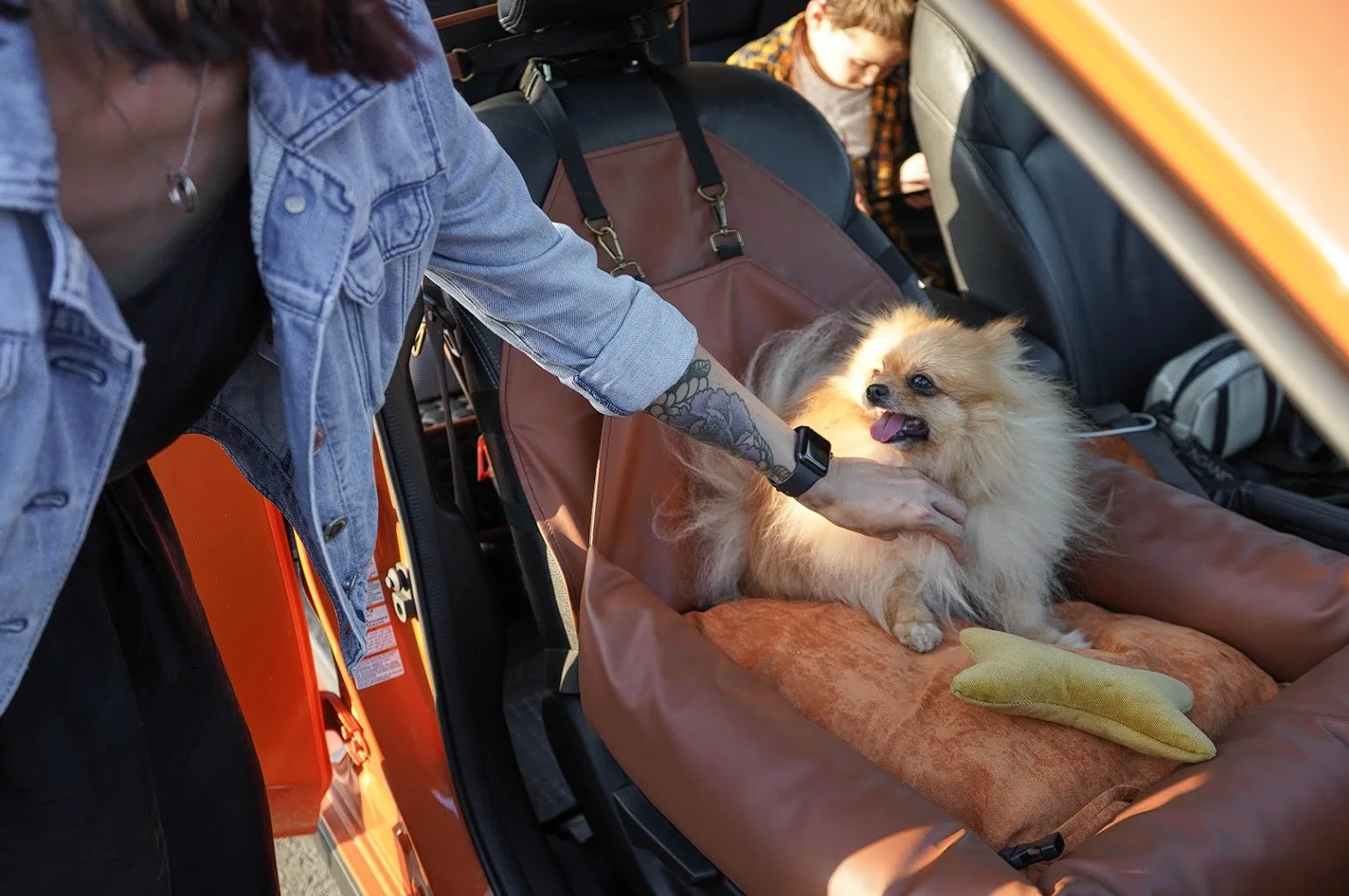 Cardigan Welsh Corgis Dog Car Seat for Tesla Model Y